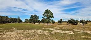 4541 GLEN ST. MARY ROAD, LAKE WALES, FL, 33898