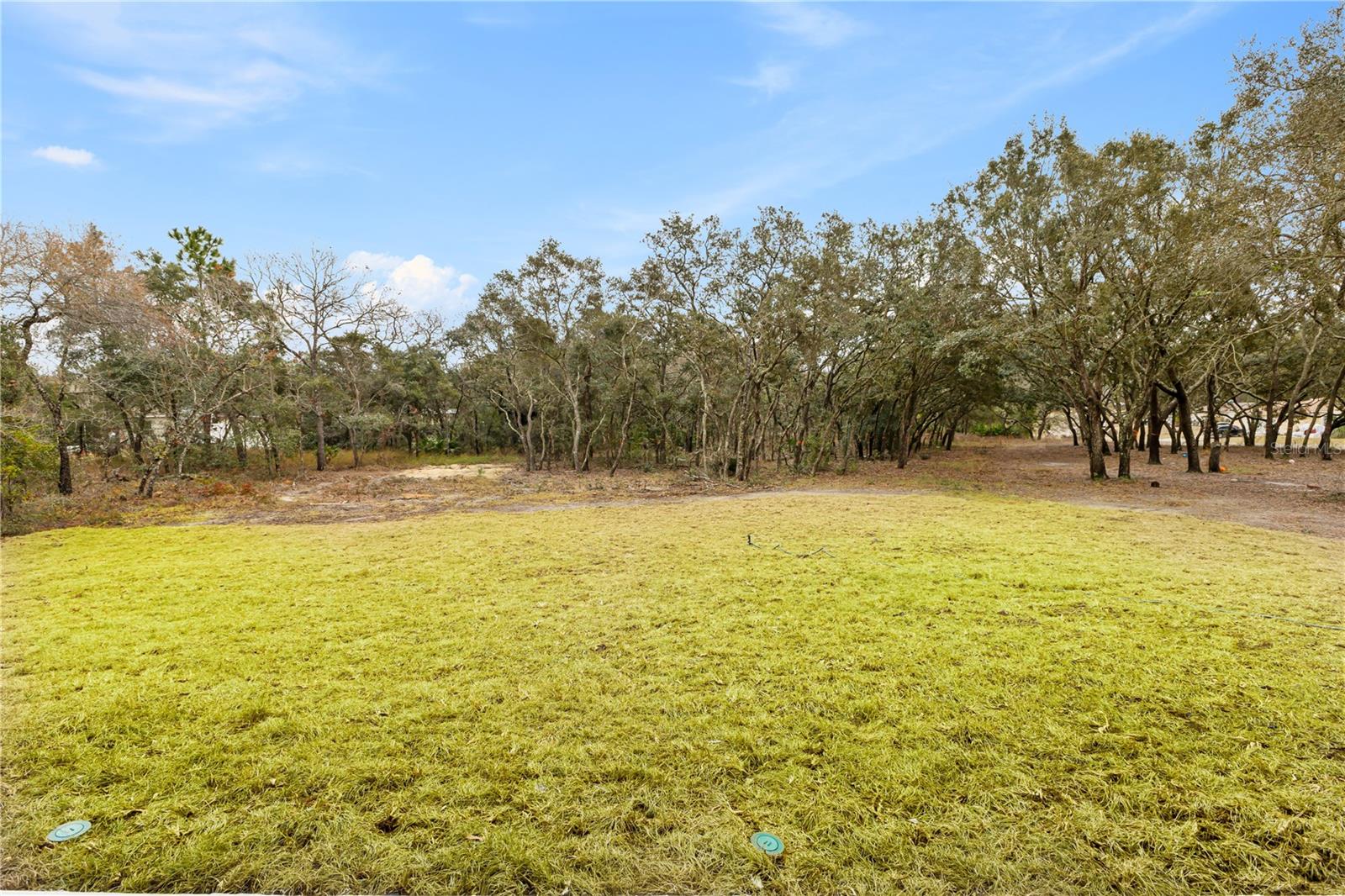 6051 N BUCKLAND DR, CITRUS SPRINGS, FL, 34434