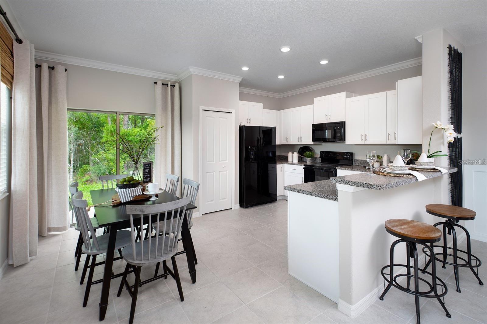 17567 NECTAR FLUME DR, LAND O LAKES, FL, 34638