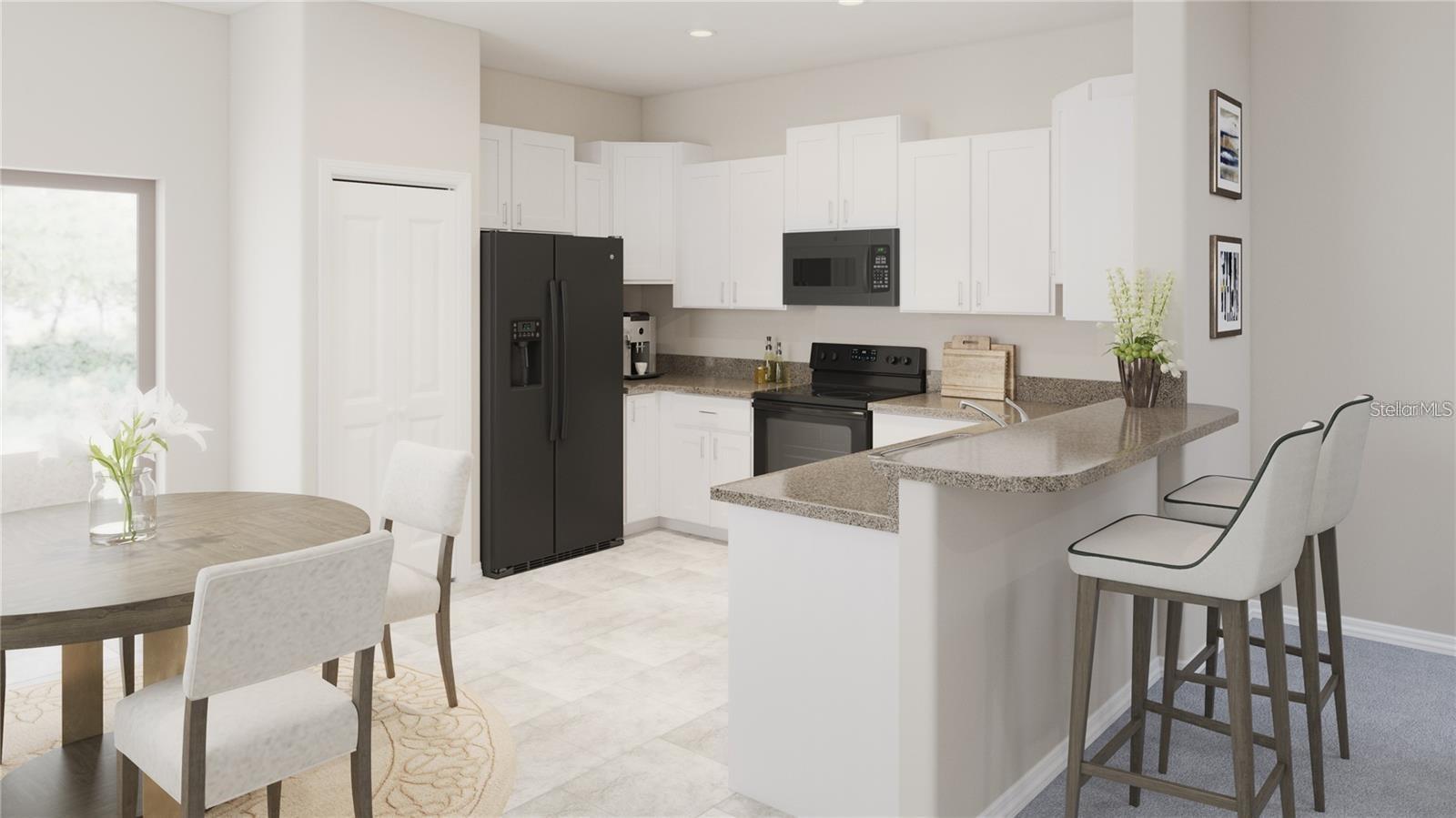 17567 NECTAR FLUME DR, LAND O LAKES, FL, 34638