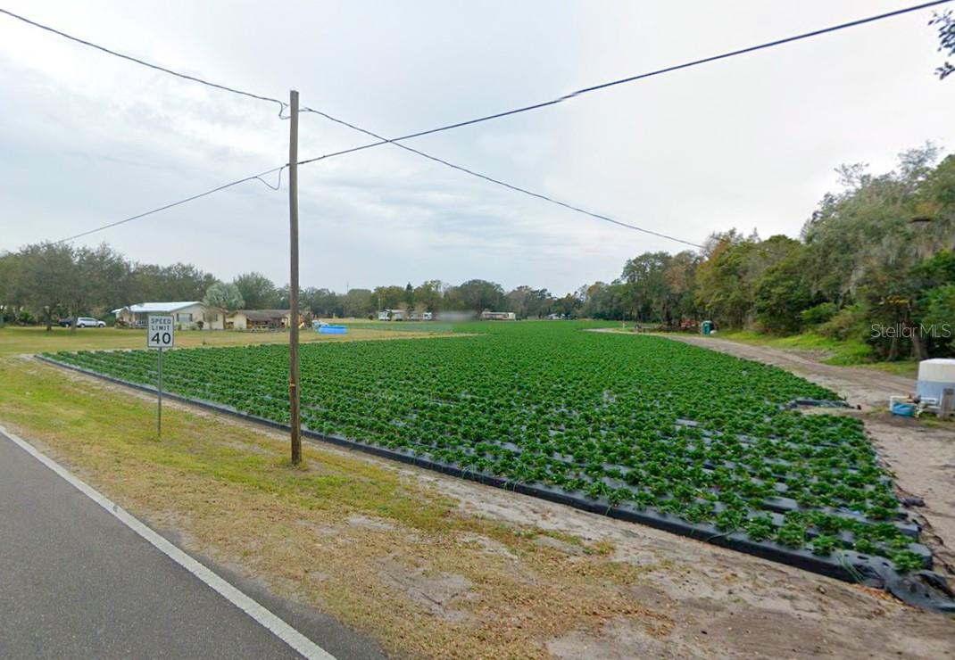 0 GALLAGHER RD, DOVER, FL, 33527
