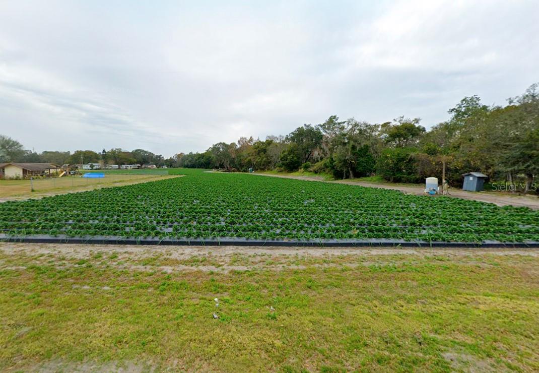 0 GALLAGHER RD, DOVER, FL, 33527