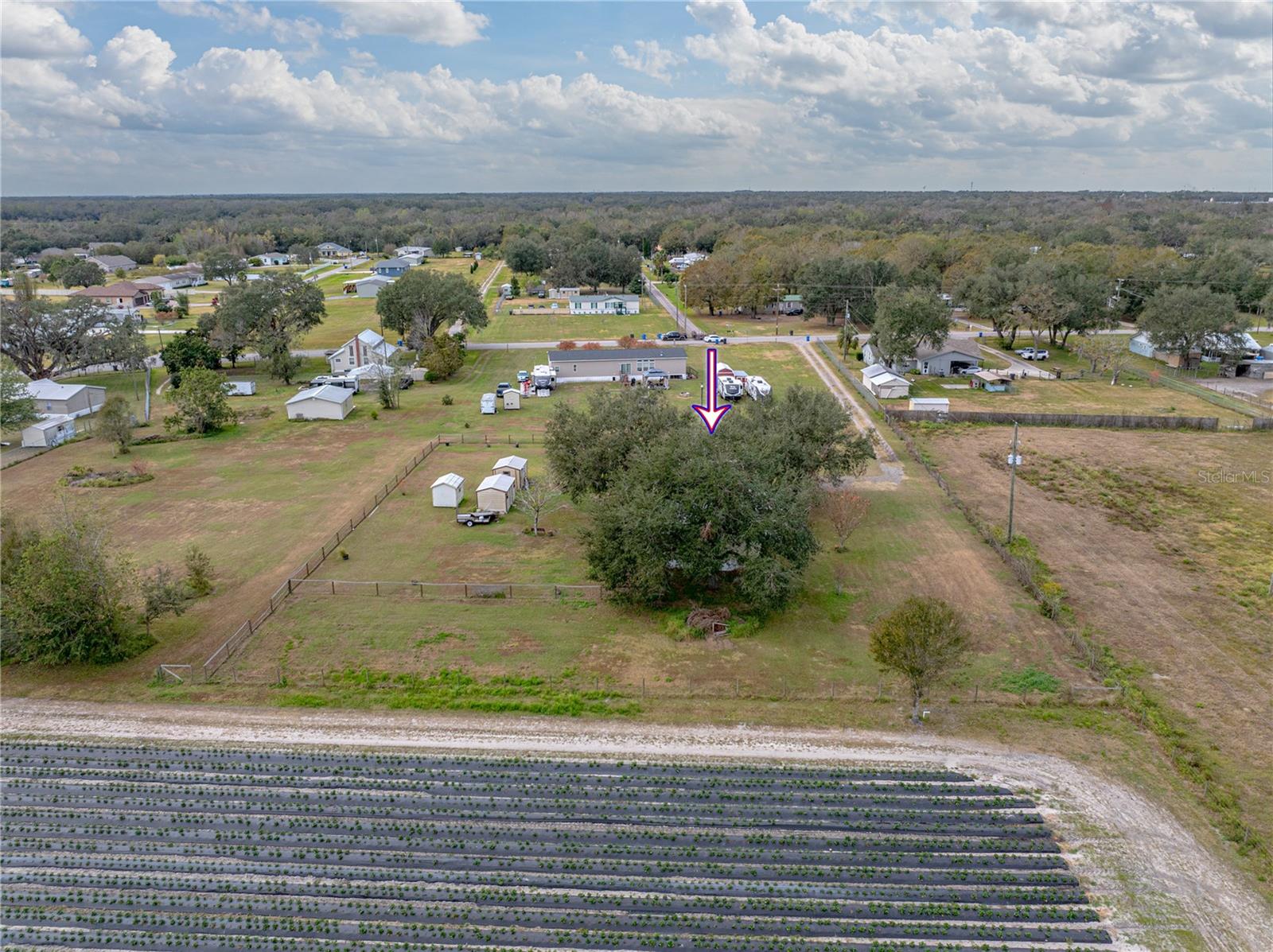 3006 CLEMONS RD, PLANT CITY, FL, 33566