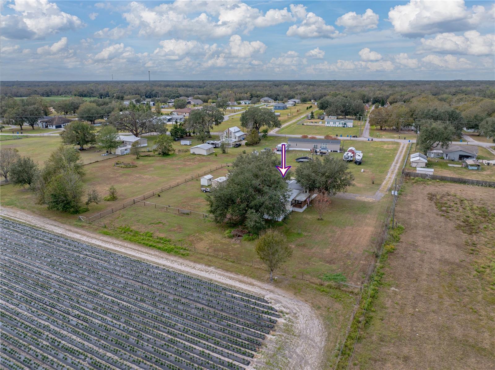 3006 CLEMONS RD, PLANT CITY, FL, 33566