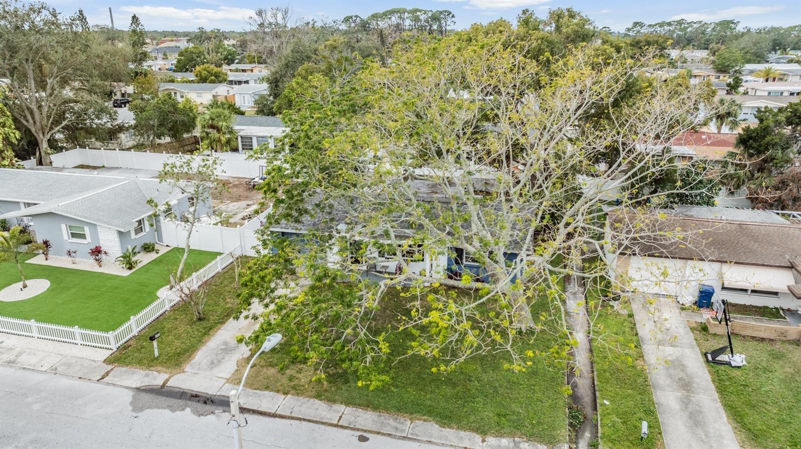 3303 BAINBRIDGE DR, HOLIDAY, FL, 34691