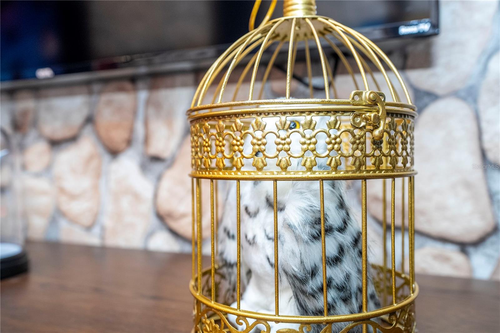 9029 IBIZA LN #1, KISSIMMEE, FL, 34747