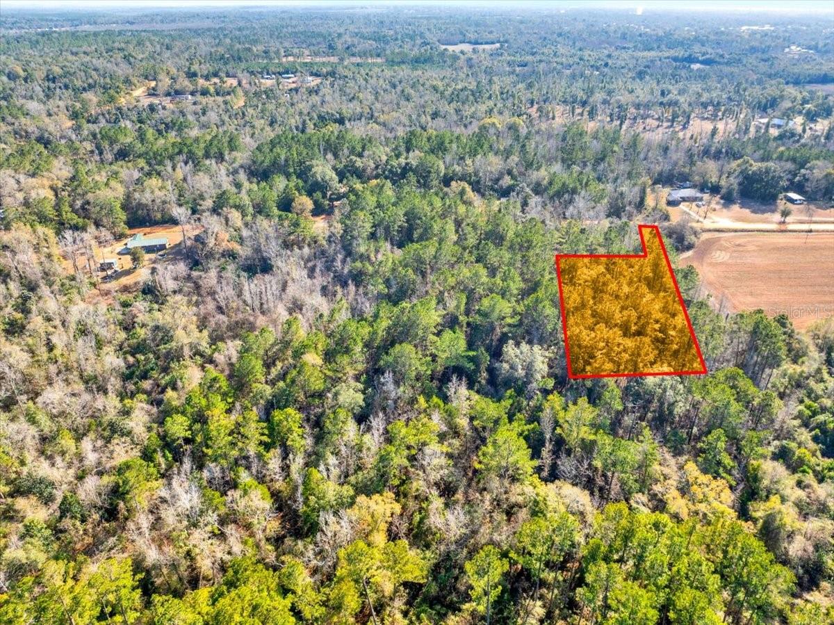 LOVEWOOD RD, COTTONDALE, FL, 32431