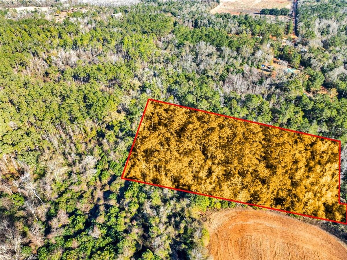 LOVEWOOD RD, COTTONDALE, FL, 32431