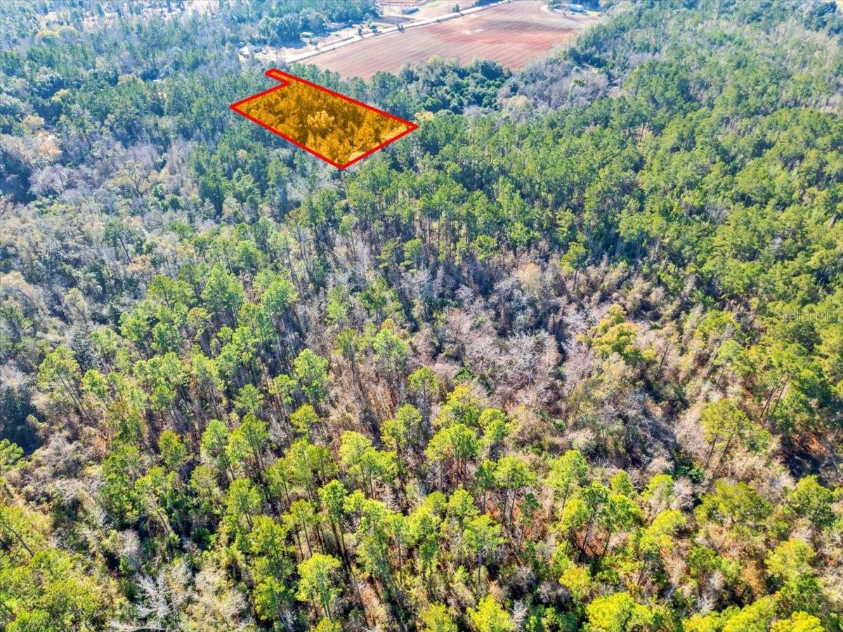 LOVEWOOD RD, COTTONDALE, FL, 32431