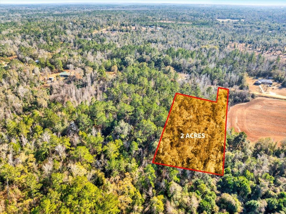 LOVEWOOD RD, COTTONDALE, FL, 32431