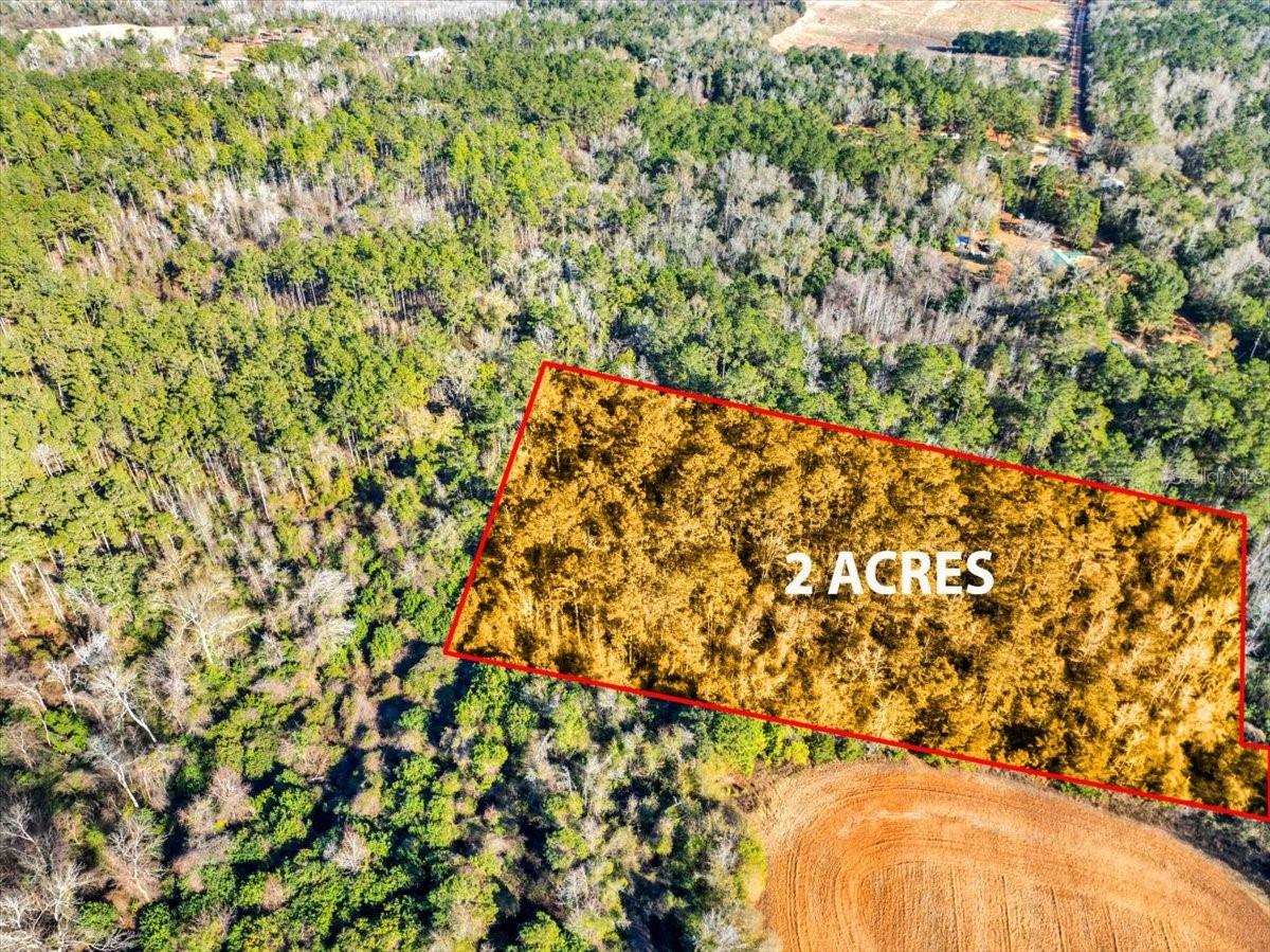 LOVEWOOD RD, COTTONDALE, FL, 32431