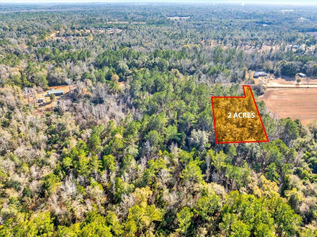 LOVEWOOD RD, COTTONDALE, FL, 32431