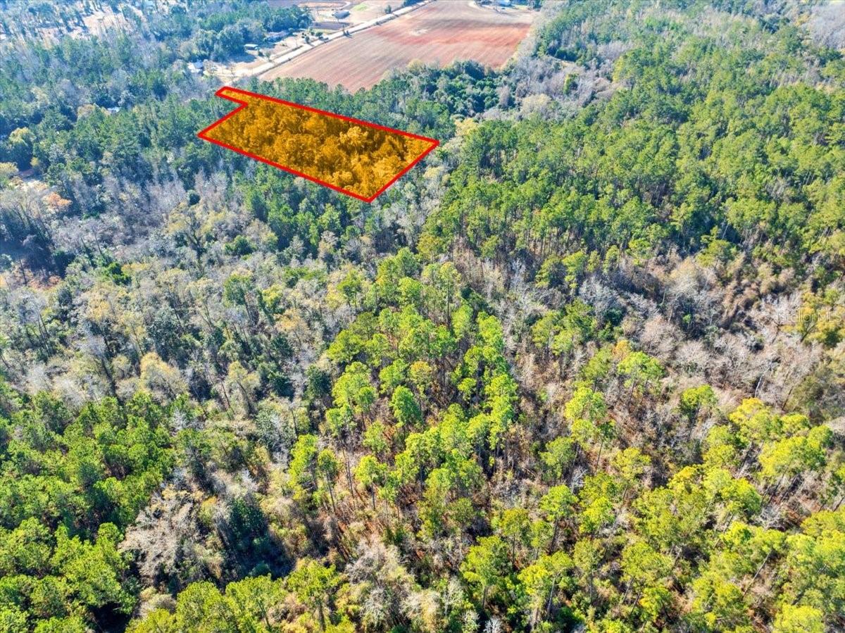 LOVEWOOD RD, COTTONDALE, FL, 32431