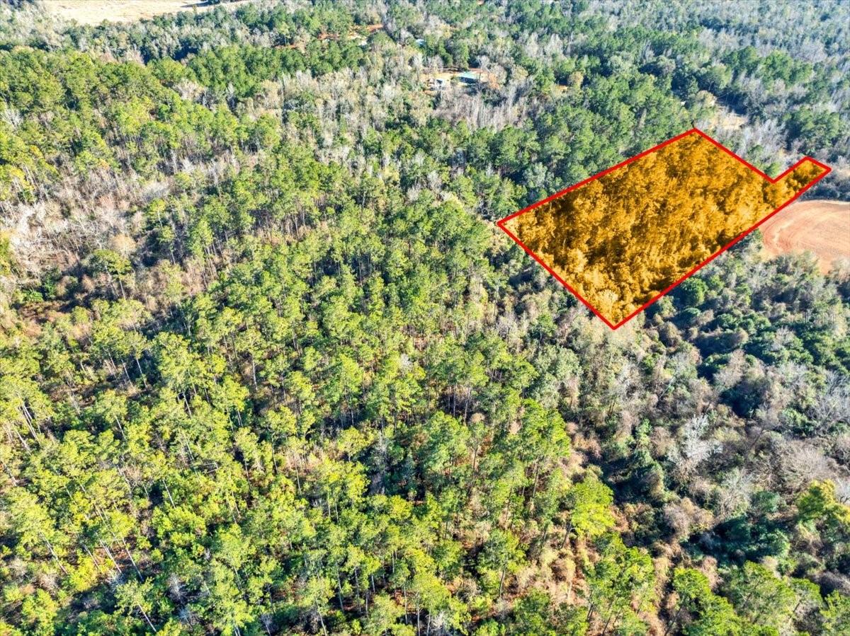 LOVEWOOD RD, COTTONDALE, FL, 32431