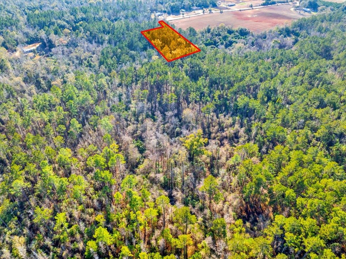 LOVEWOOD RD, COTTONDALE, FL, 32431