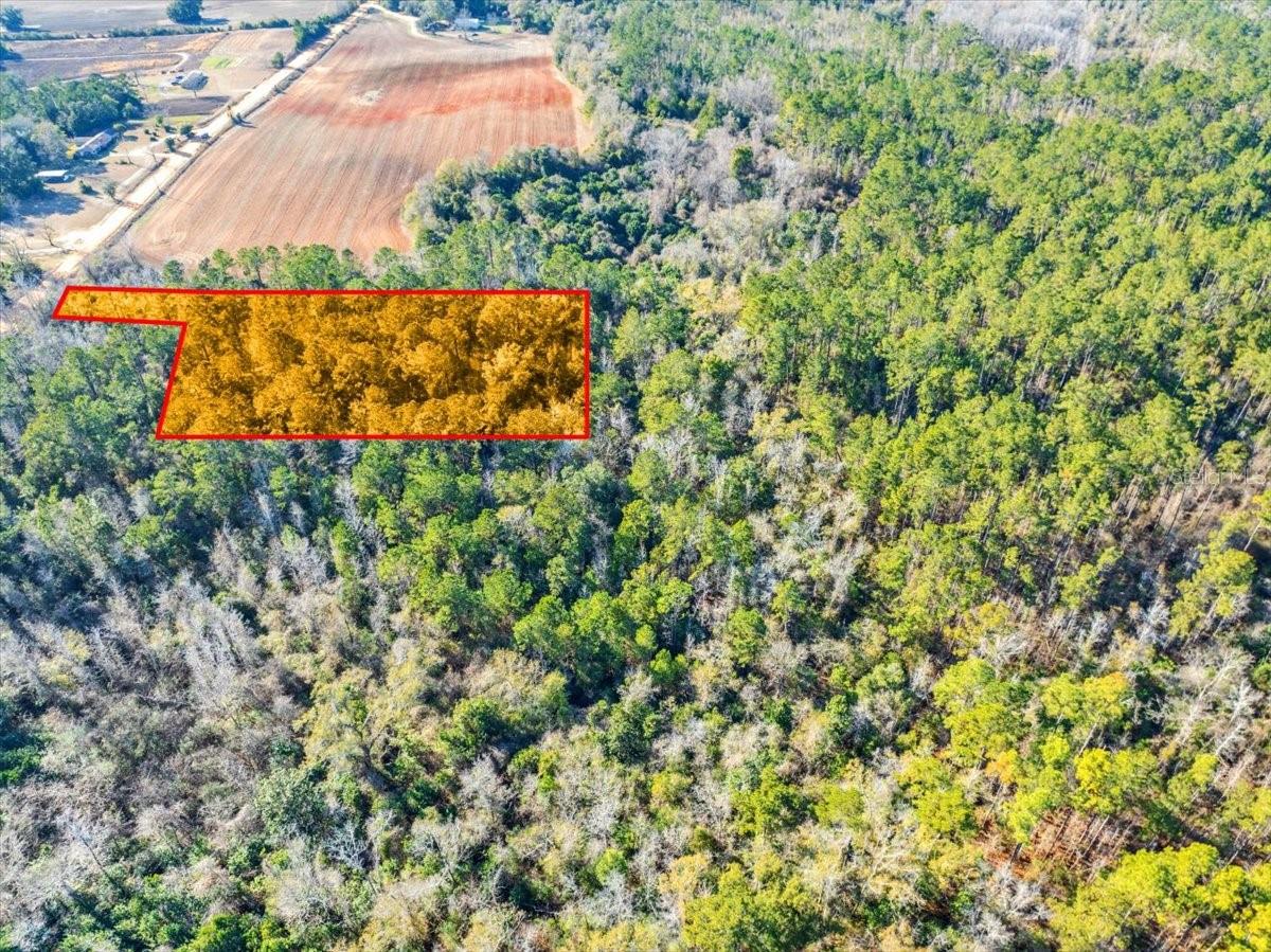 LOVEWOOD RD, COTTONDALE, FL, 32431