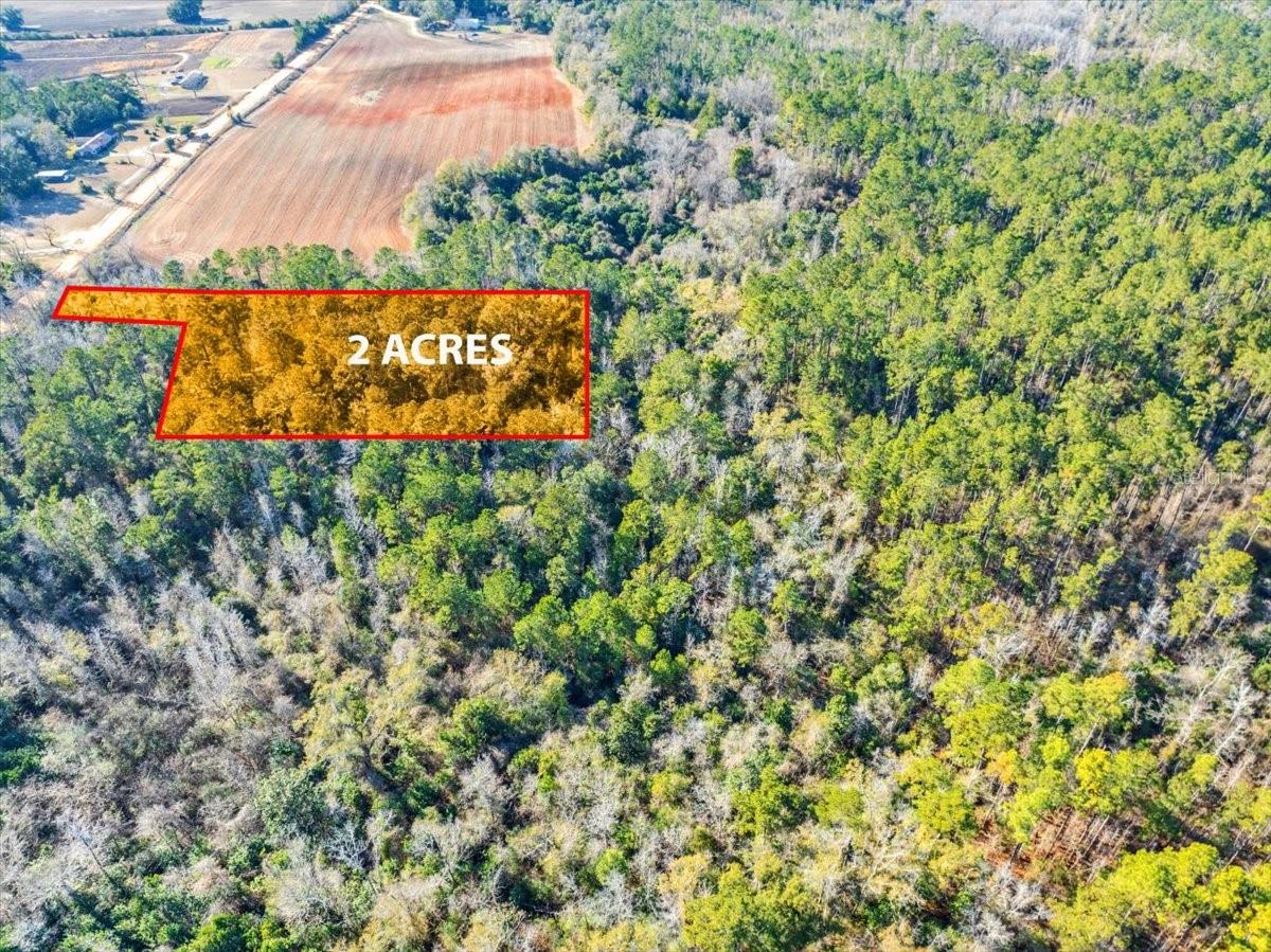 LOVEWOOD RD, COTTONDALE, FL, 32431