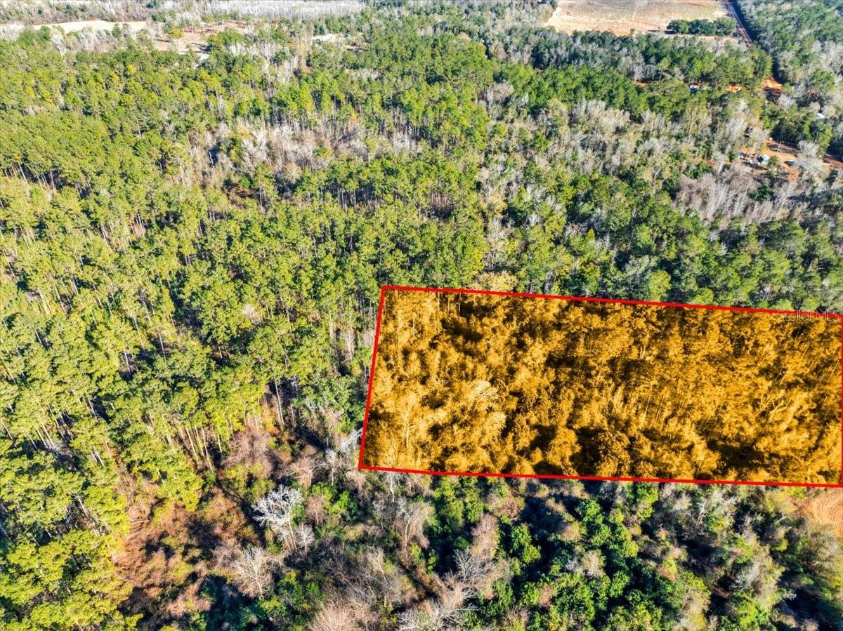 LOVEWOOD RD, COTTONDALE, FL, 32431