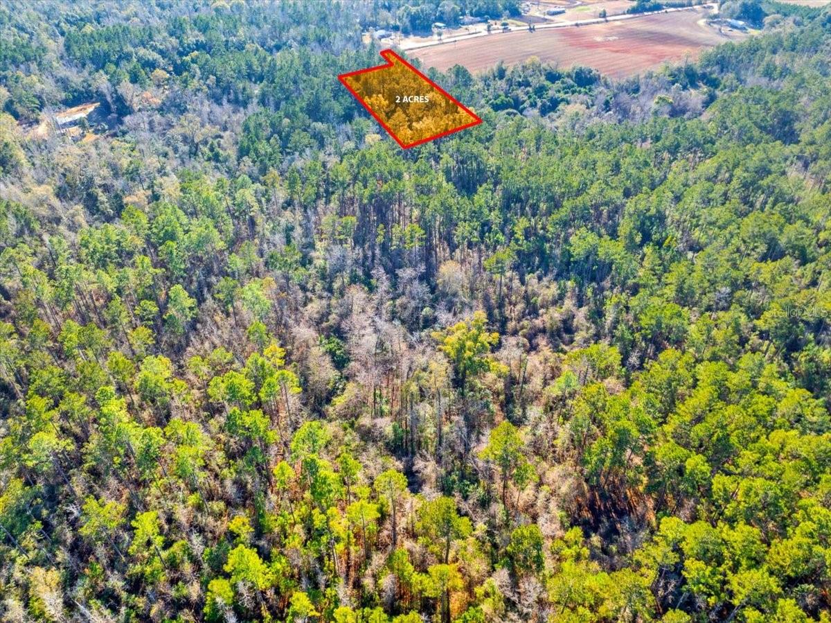 LOVEWOOD RD, COTTONDALE, FL, 32431