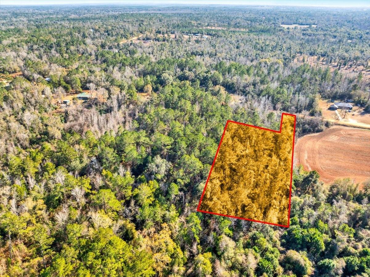 LOVEWOOD RD, COTTONDALE, FL, 32431