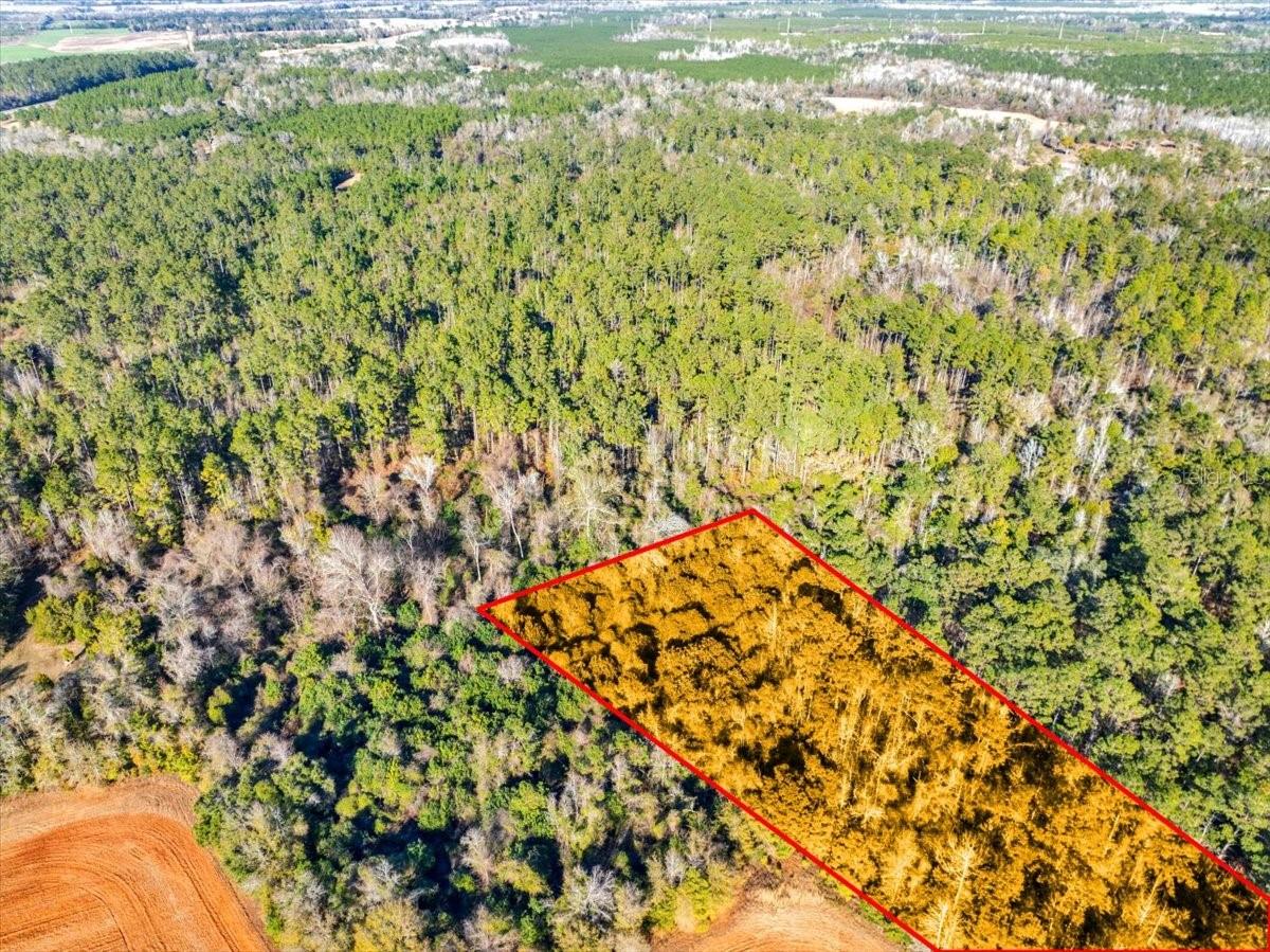 LOVEWOOD RD, COTTONDALE, FL, 32431