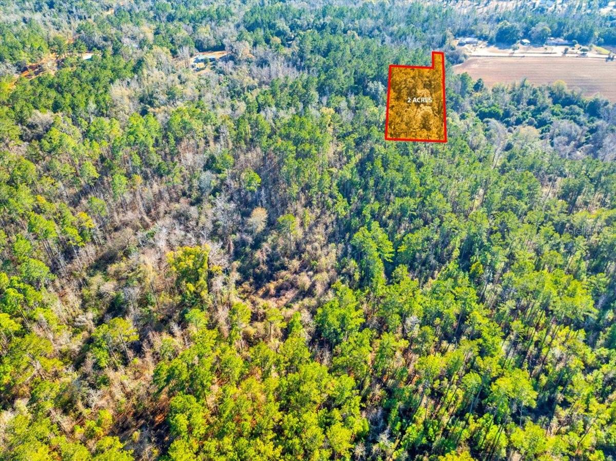 LOVEWOOD RD, COTTONDALE, FL, 32431