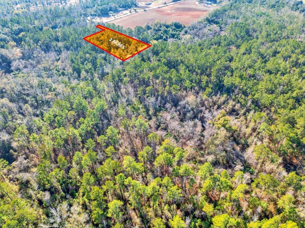 LOVEWOOD RD, COTTONDALE, FL, 32431