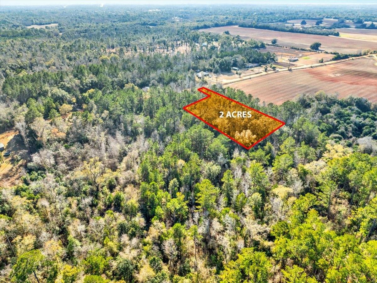 LOVEWOOD RD, COTTONDALE, FL, 32431