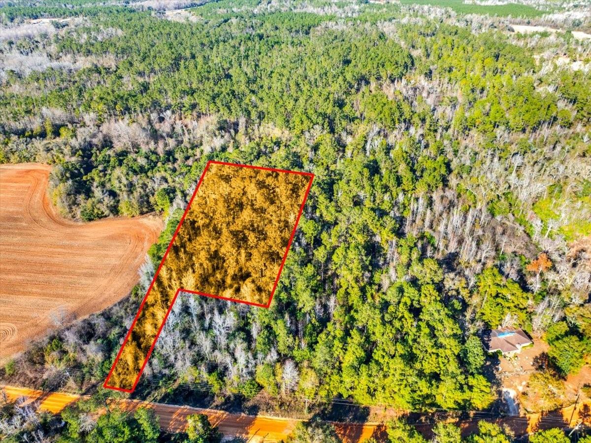 LOVEWOOD RD, COTTONDALE, FL, 32431