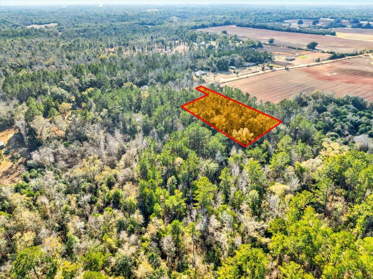 LOVEWOOD RD, COTTONDALE, FL, 32431