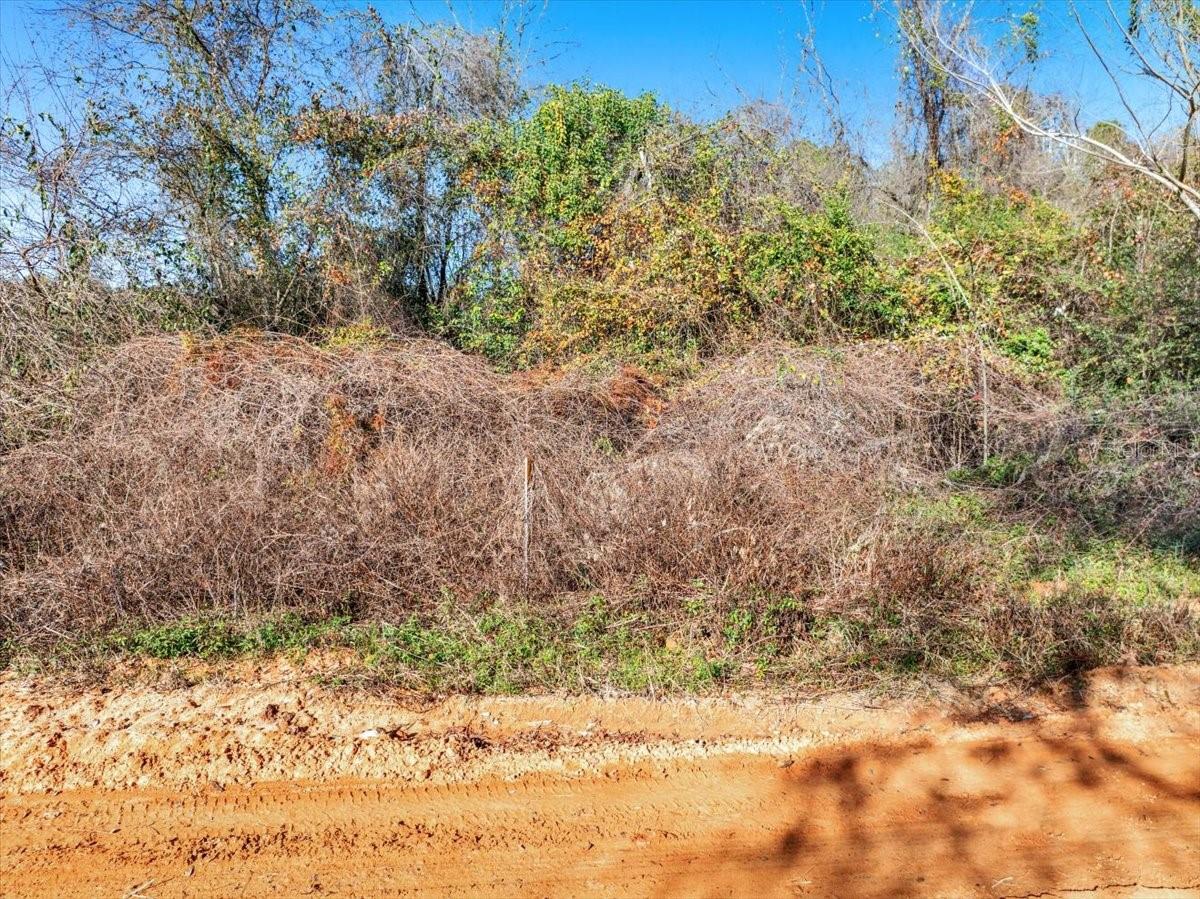 LOVEWOOD RD, COTTONDALE, FL, 32431