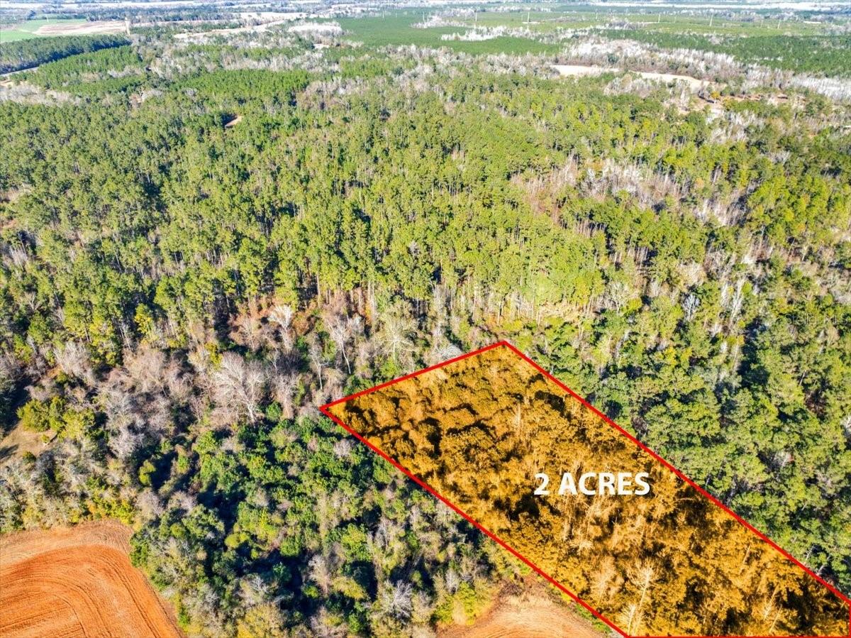 LOVEWOOD RD, COTTONDALE, FL, 32431
