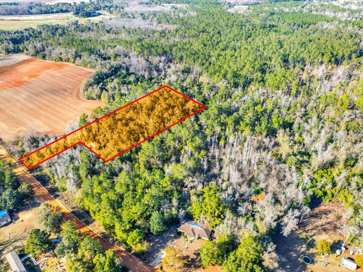 LOVEWOOD RD, COTTONDALE, FL, 32431