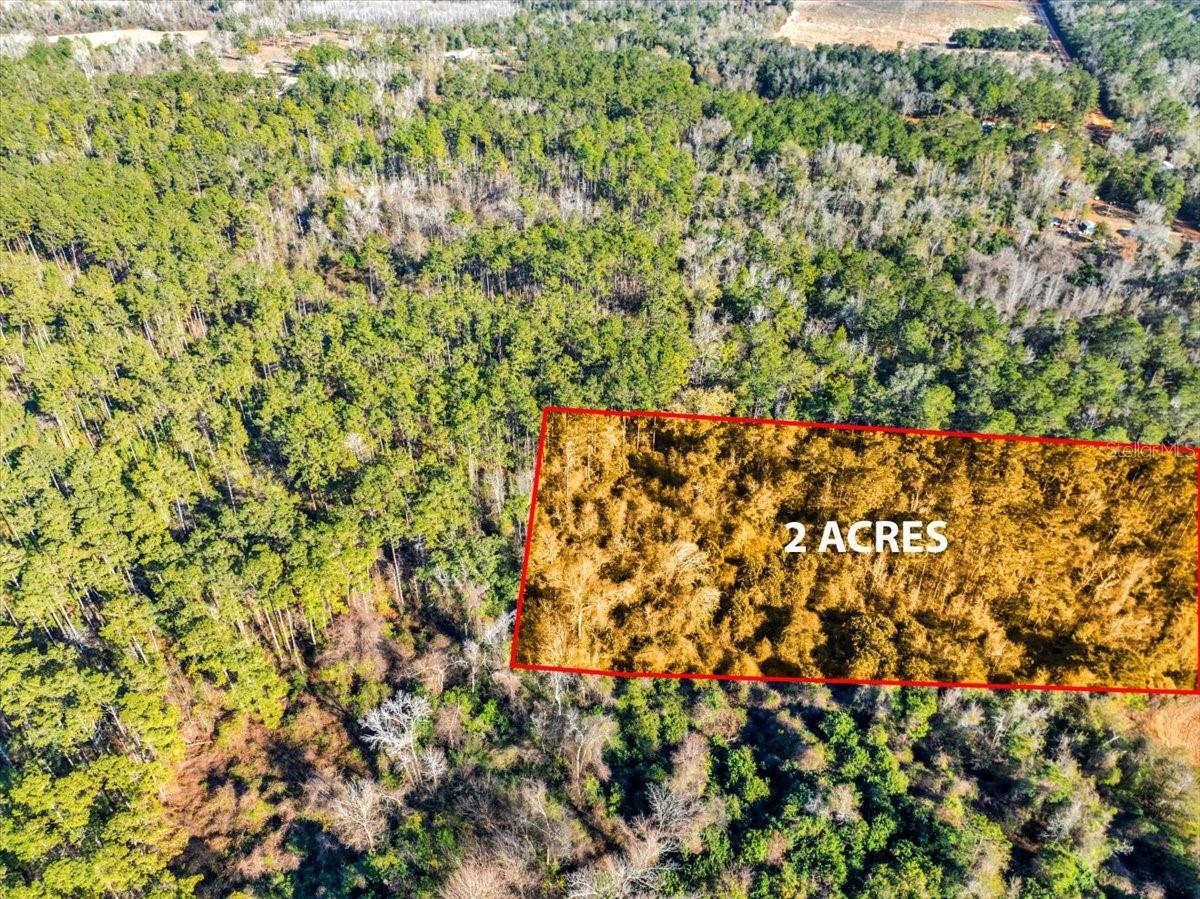 LOVEWOOD RD, COTTONDALE, FL, 32431