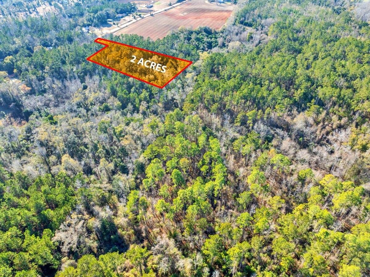 LOVEWOOD RD, COTTONDALE, FL, 32431