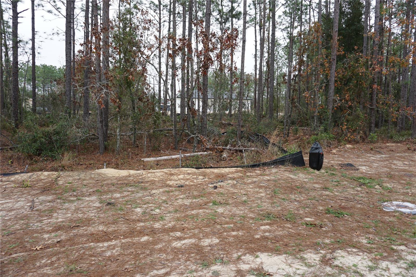 00 (TBD) SW 77 CT, OCALA, FL, 34473