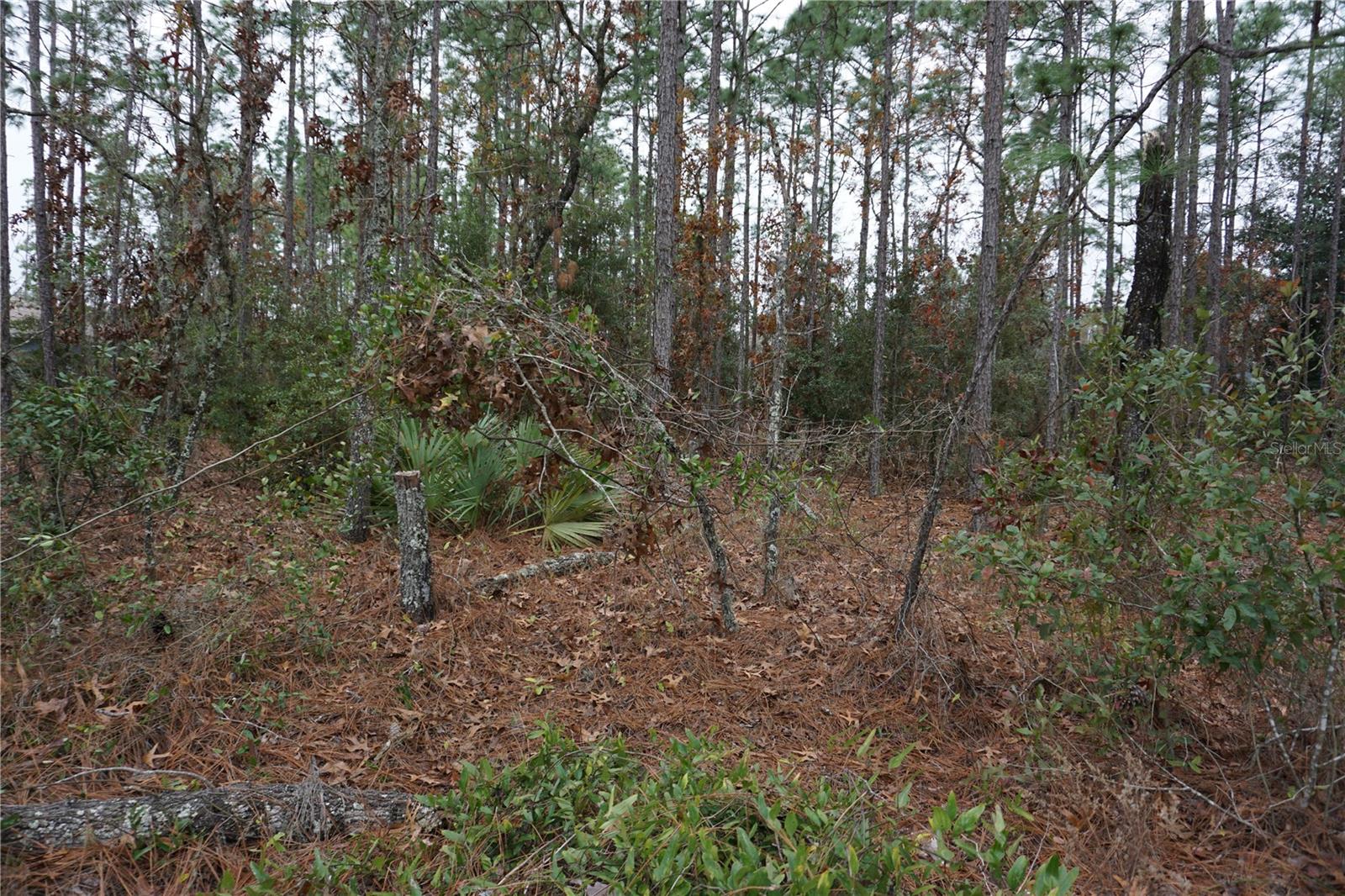 00 (TBD) SW 77 CT, OCALA, FL, 34473