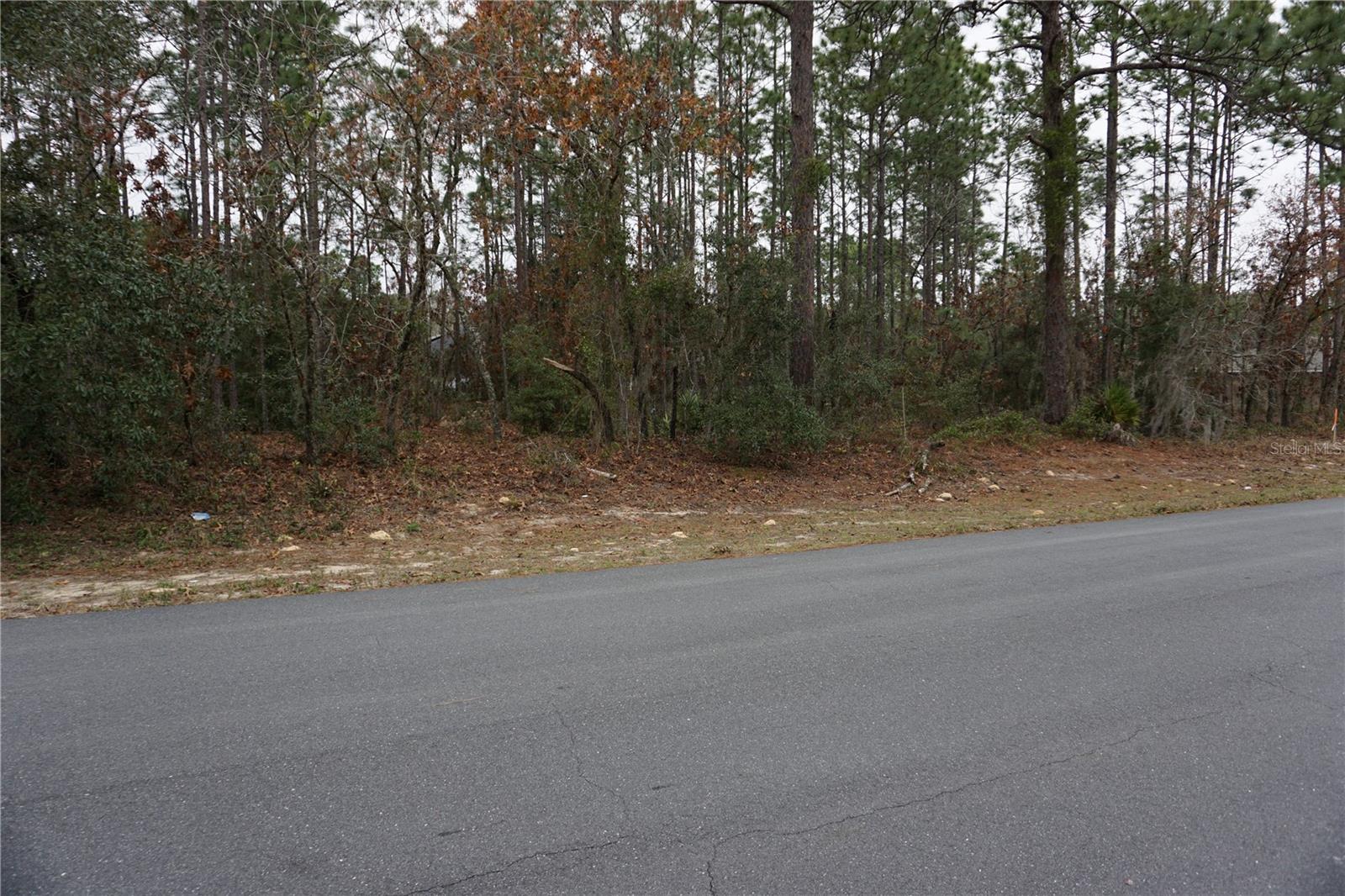 00 (TBD) SW 77 CT, OCALA, FL, 34473