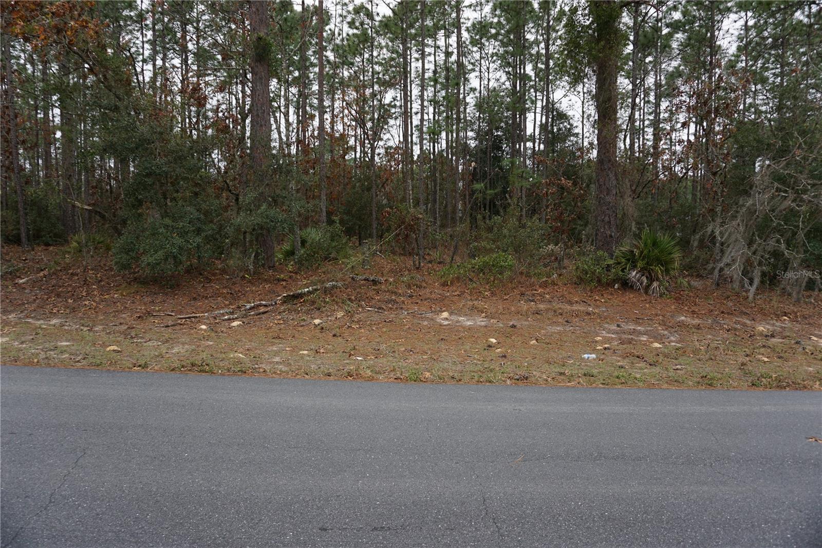 00 (TBD) SW 77 CT, OCALA, FL, 34473
