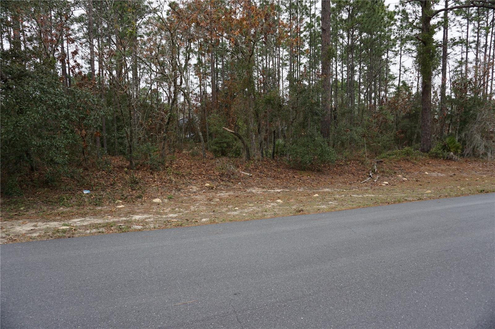 00 (TBD) SW 77 CT, OCALA, FL, 34473