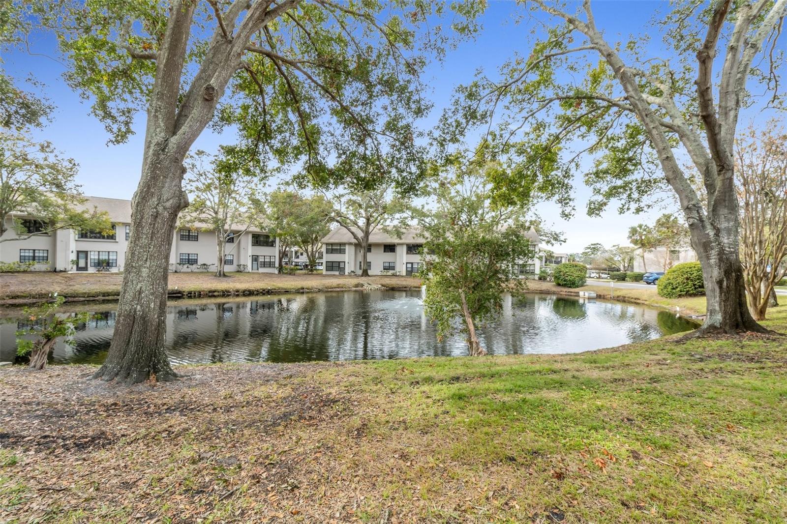 2188 ELM ST #1107, DUNEDIN, FL, 34698