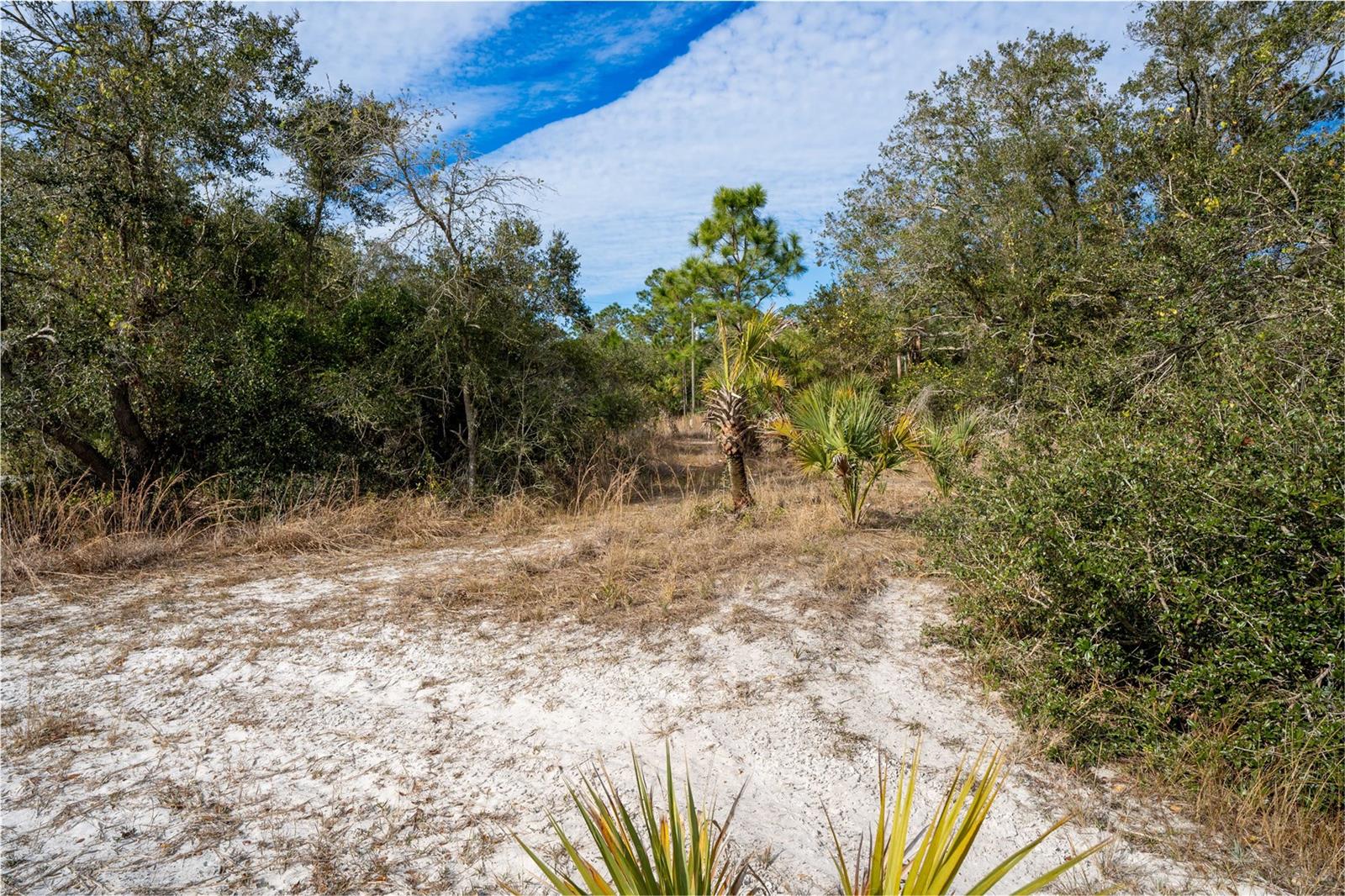 Lots 14, 15, & 16 HAVERHILL AVE, NORTH PORT, FL, 34286