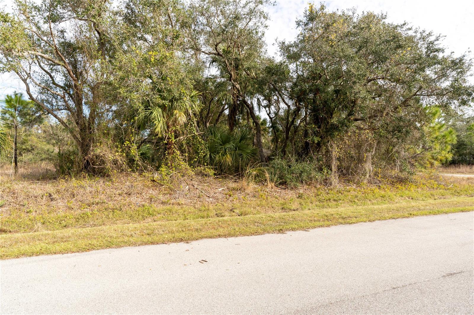 Lots 14, 15, & 16 HAVERHILL AVE, NORTH PORT, FL, 34286
