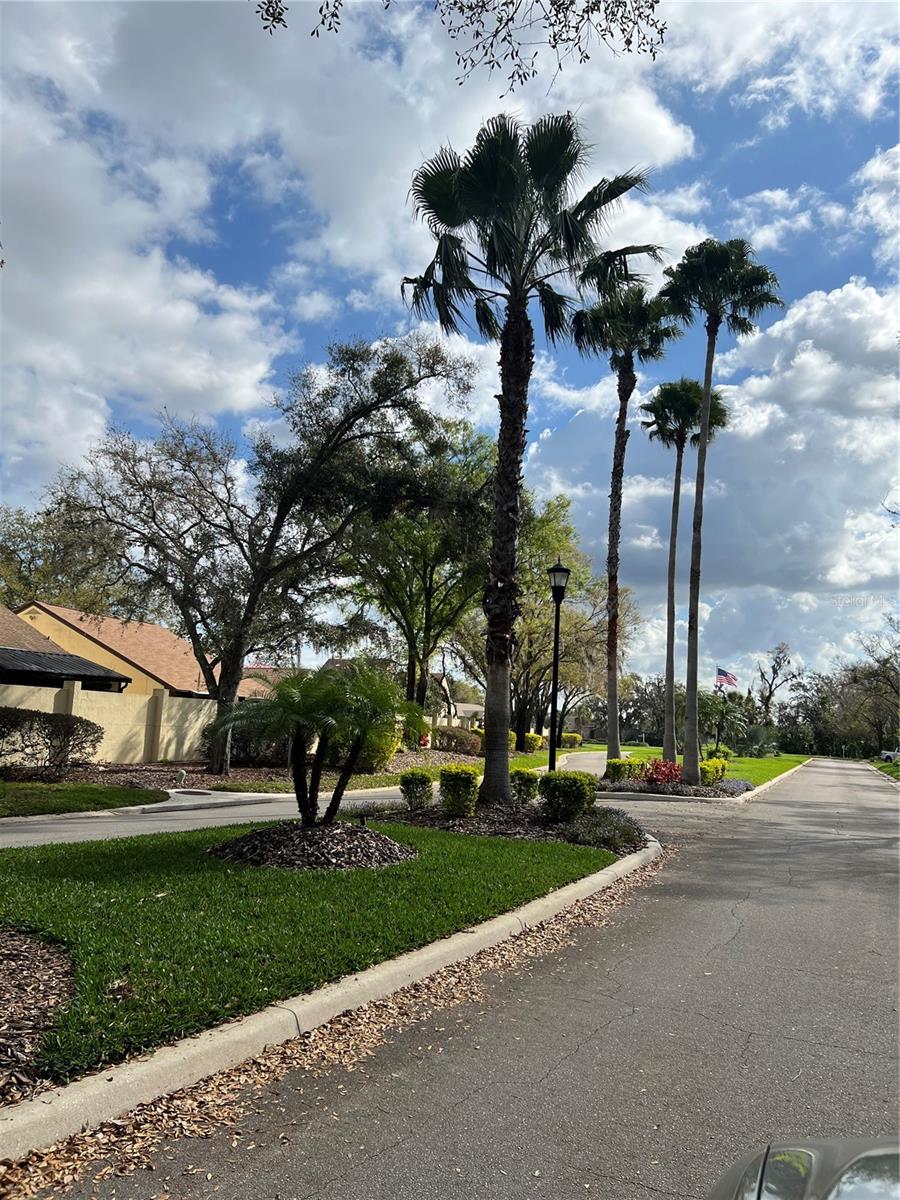 4435 FAIRWAY OAKS DR, MULBERRY, FL, 33860