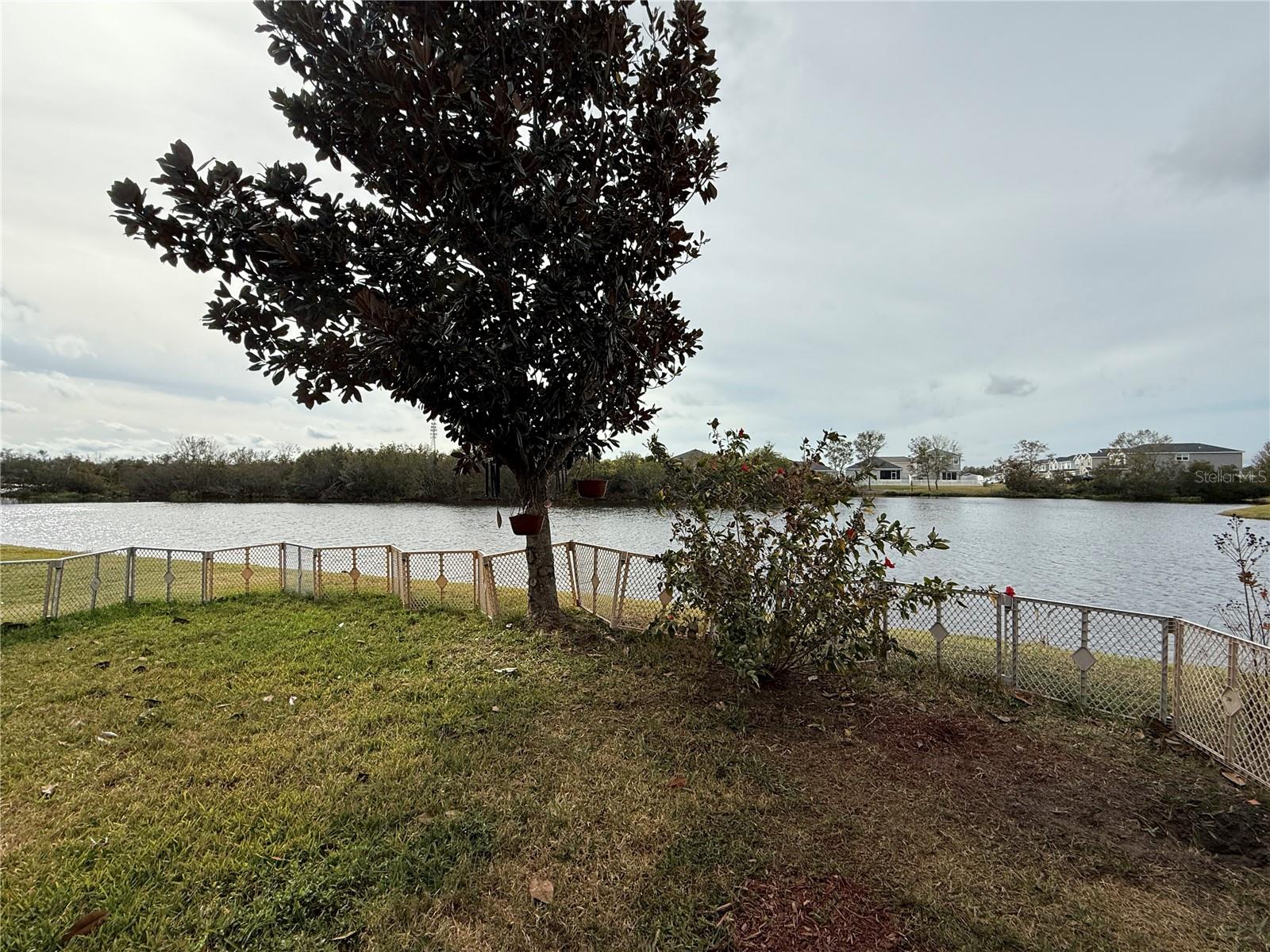 12315 BALLENTRAE FOREST DR, RIVERVIEW, FL, 33579