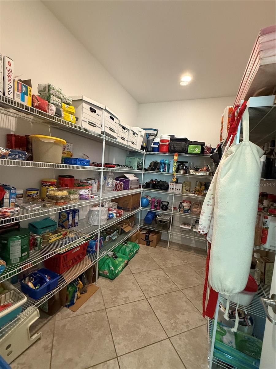 12315 BALLENTRAE FOREST DR, RIVERVIEW, FL, 33579