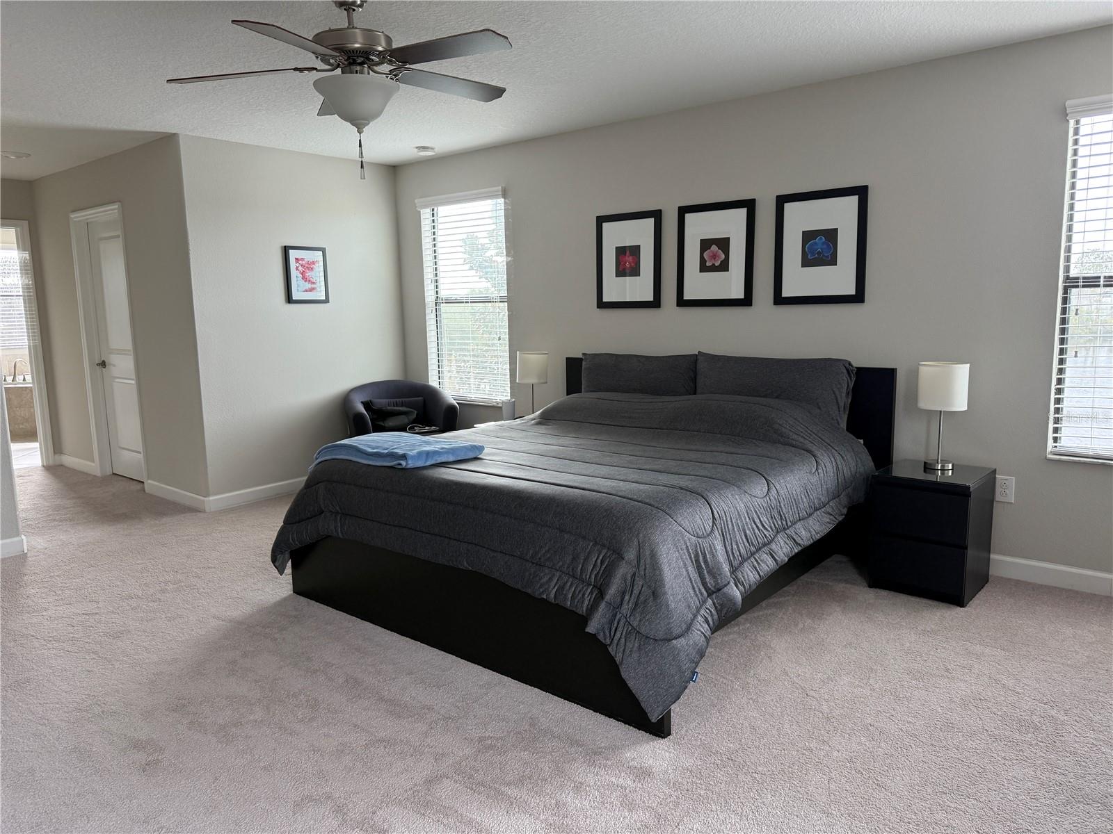 12315 BALLENTRAE FOREST DR, RIVERVIEW, FL, 33579
