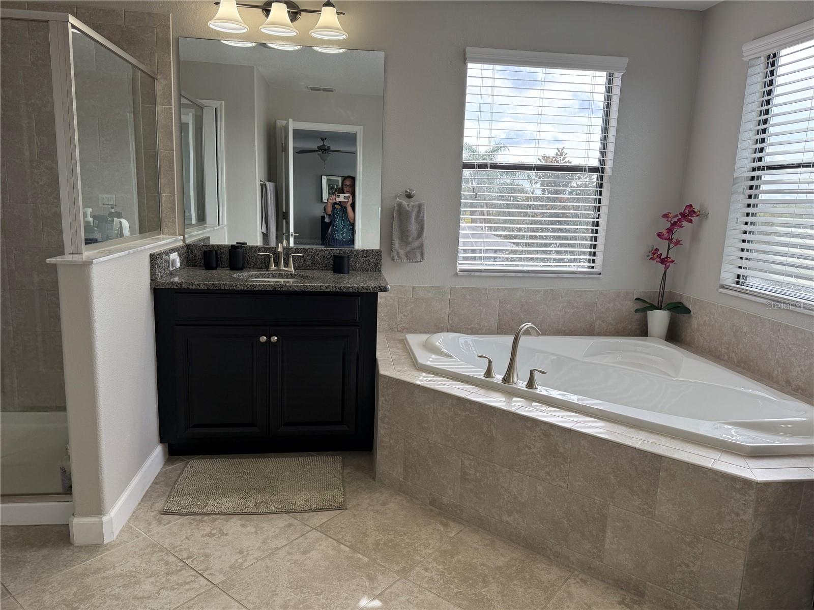 12315 BALLENTRAE FOREST DR, RIVERVIEW, FL, 33579