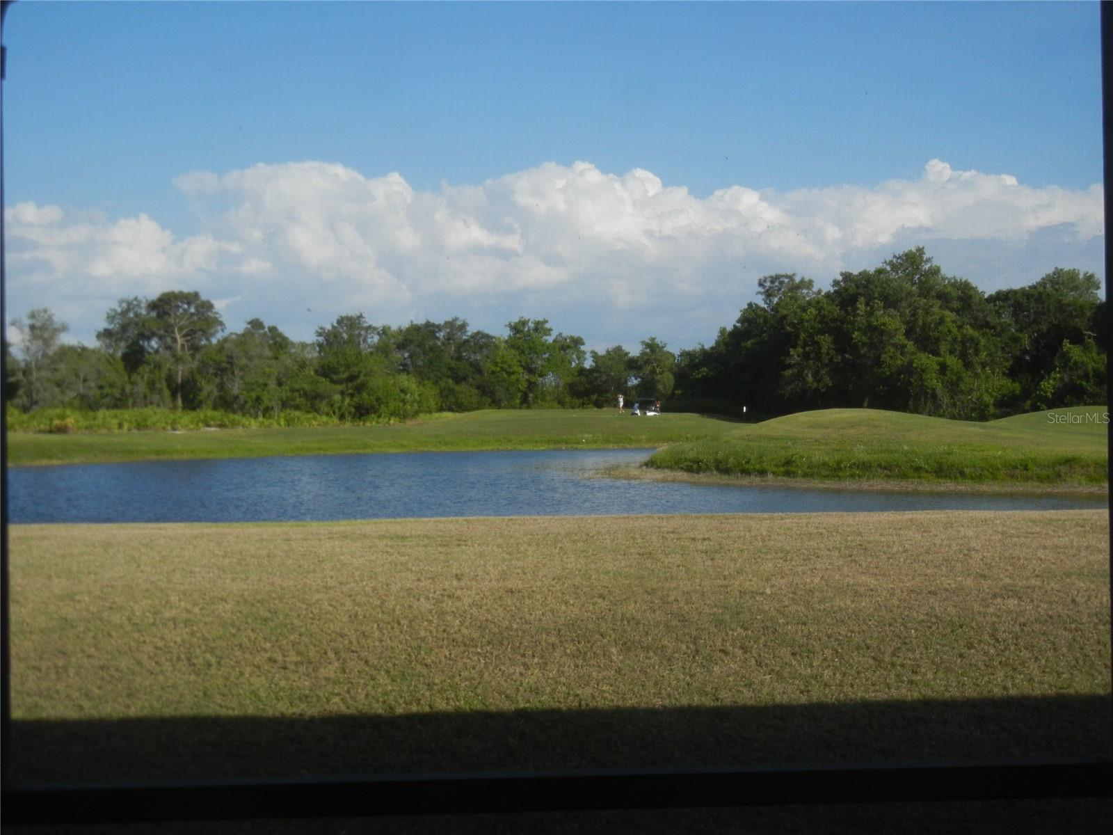 2234 PRESERVATION GREEN CT, SUN CITY CENTER, FL, 33573