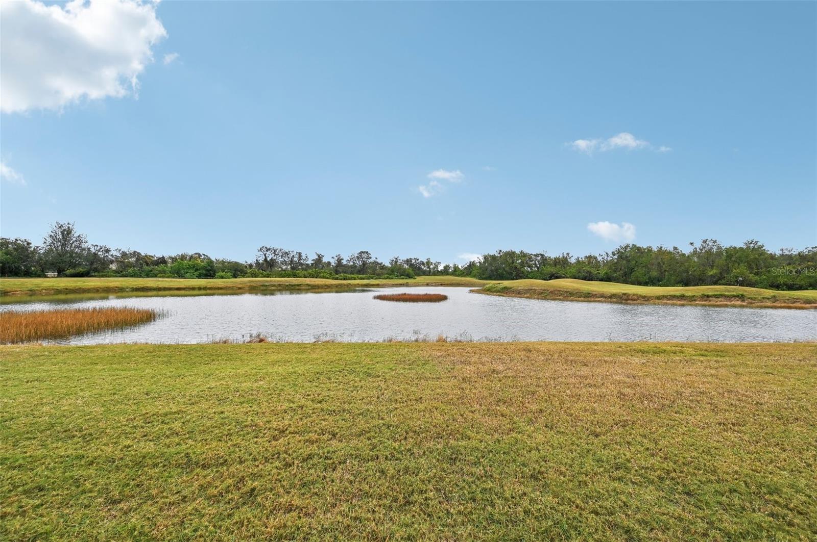2234 PRESERVATION GREEN CT, SUN CITY CENTER, FL, 33573